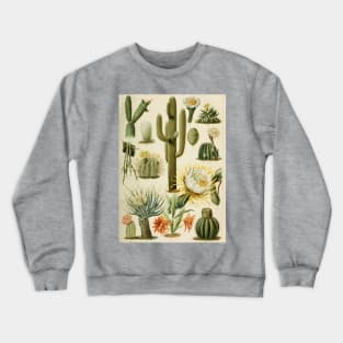 Botanical Cacti Crewneck Sweatshirt